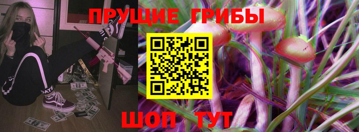 Псилоцибиновые грибы Psilocybe  Вход с VPN  Пугачёв 