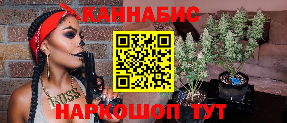 Конопля семена  Каннабис SATIVA & INDICA  Пугачёв  МАРИХУАНА индика  Вход с VPN  Конопля LSD WEED 